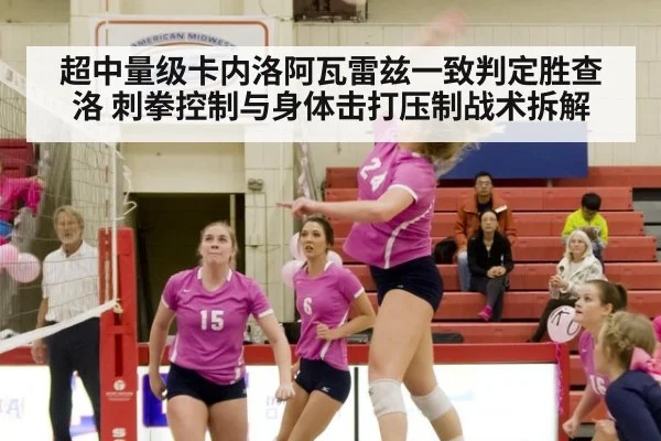 超中量级卡内洛阿瓦雷兹一致判定胜查洛 刺拳控制与身体击打压制战术拆解