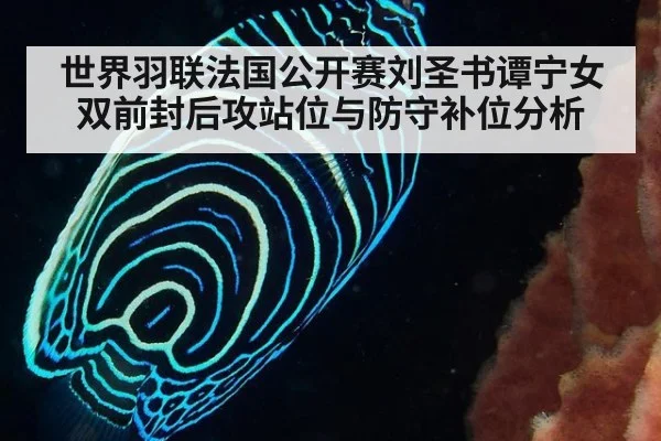 世界羽联法国公开赛刘圣书谭宁女双前封后攻站位与防守补位分析